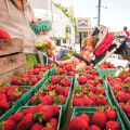 The Ultimate Guide to Becoming a Vendor at Markets in Montgomery County, Maryland